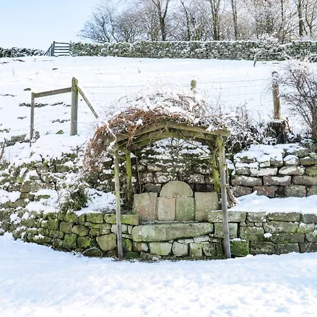 The Arches